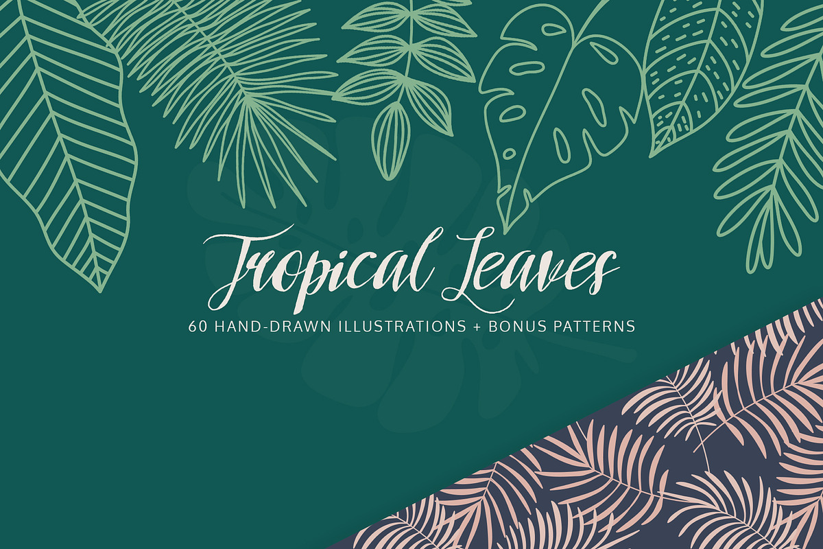 Tropical Leaves & Patterns, an Illustration by amber&ink (Photo 1 of 9)