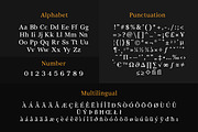 New Platinum - Luxury Serif Font, a Serif Font by Attractype (Thumbnail 12 of 13)