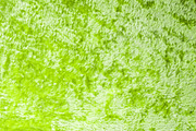 Wool and Fur Texture Wool Background, a Background Photo by VetalStock (Thumbnail 3 of 5)