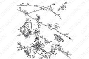 Butterflies Cherry Peach Blossom Flowers