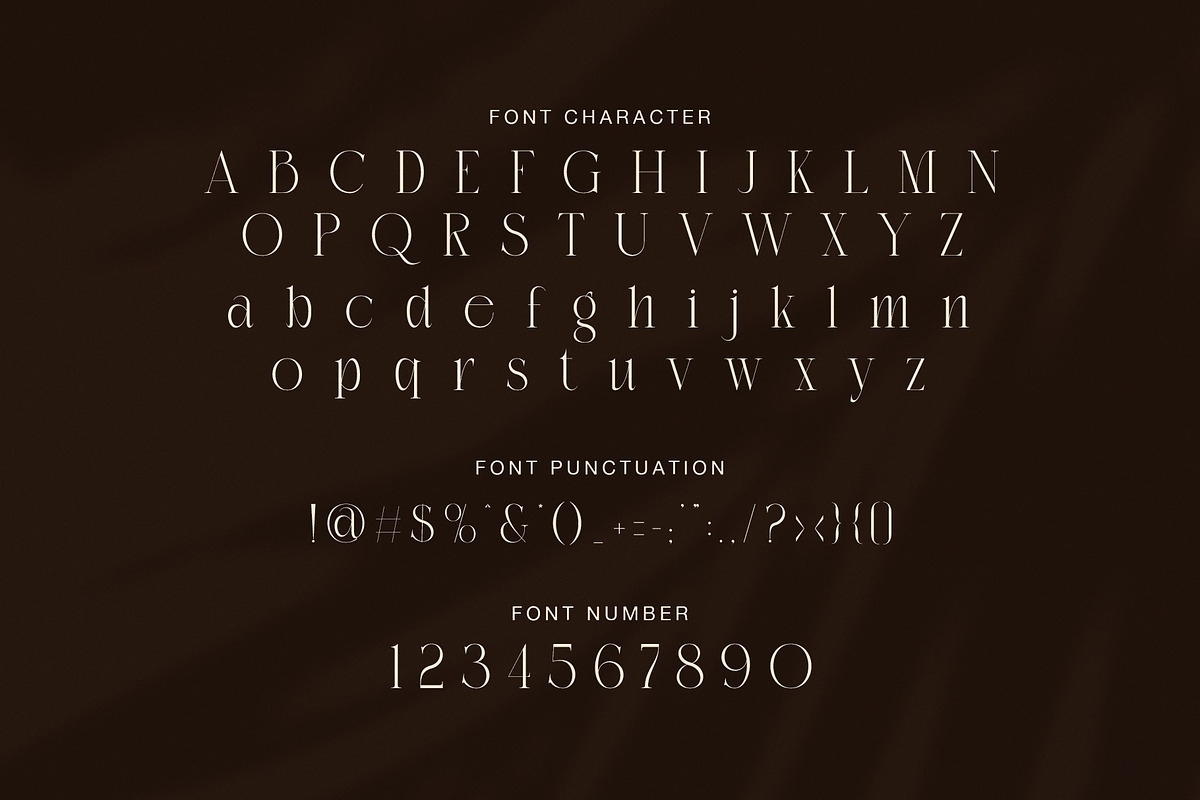Bidant Elegant Serif Font, a Serif Font by Graphicxell (Photo 7 of 8)
