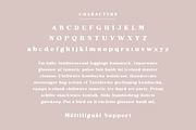 Apple Hill Duo, a Serif Font by Sofia Skoog (Thumbnail 5 of 12)