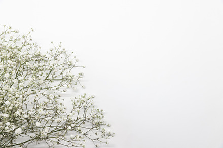 Floral composition with light, a Background Photo by Cherkas Photography