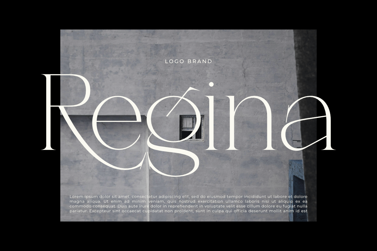 Lunévia Orliene Modern Serif, a Serif Font by Muksal Creative (Photo 4 of 10)