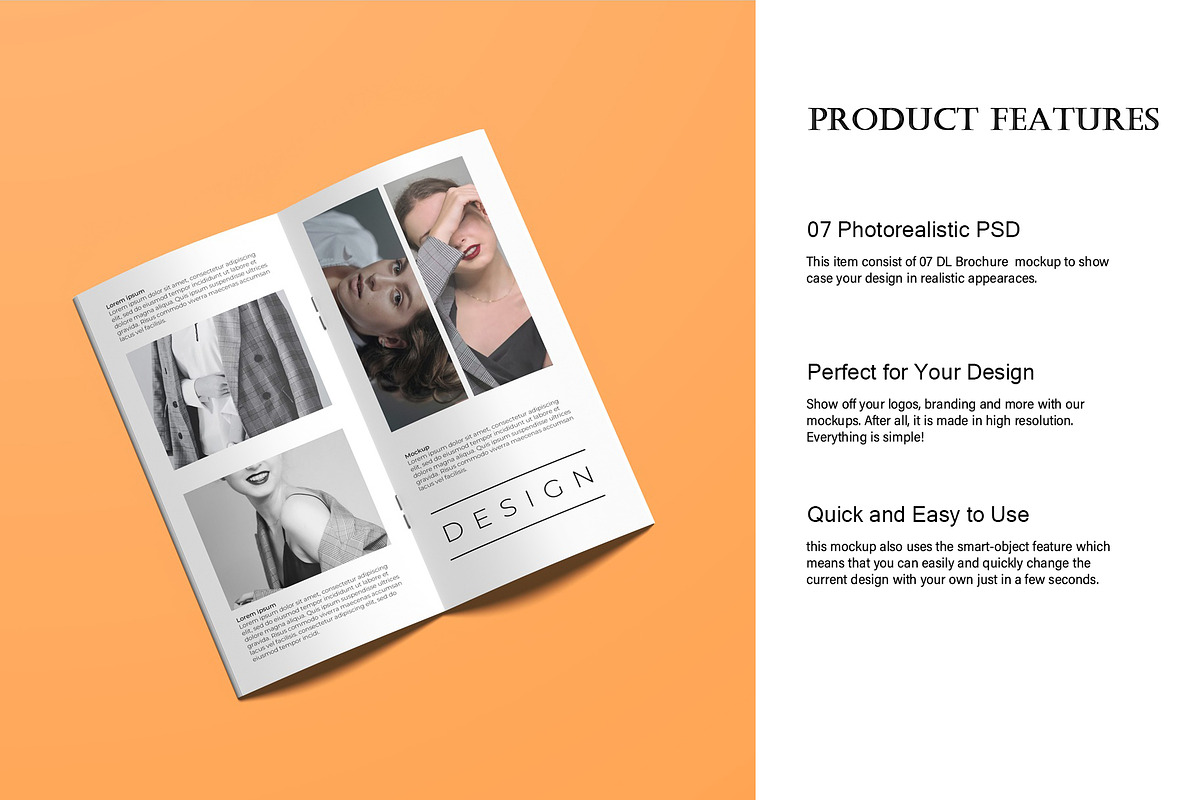 DL Brochure Mockup, a Books & Magazine Mockup by Lxadesign (Photo 4 of 12)