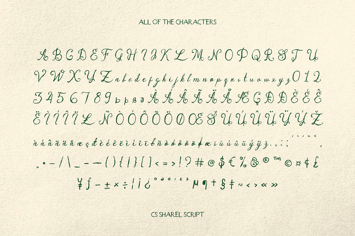 CS Sharel - Font Duo, a Script Font by Craft Supply Co. (Photo 8 of 8)