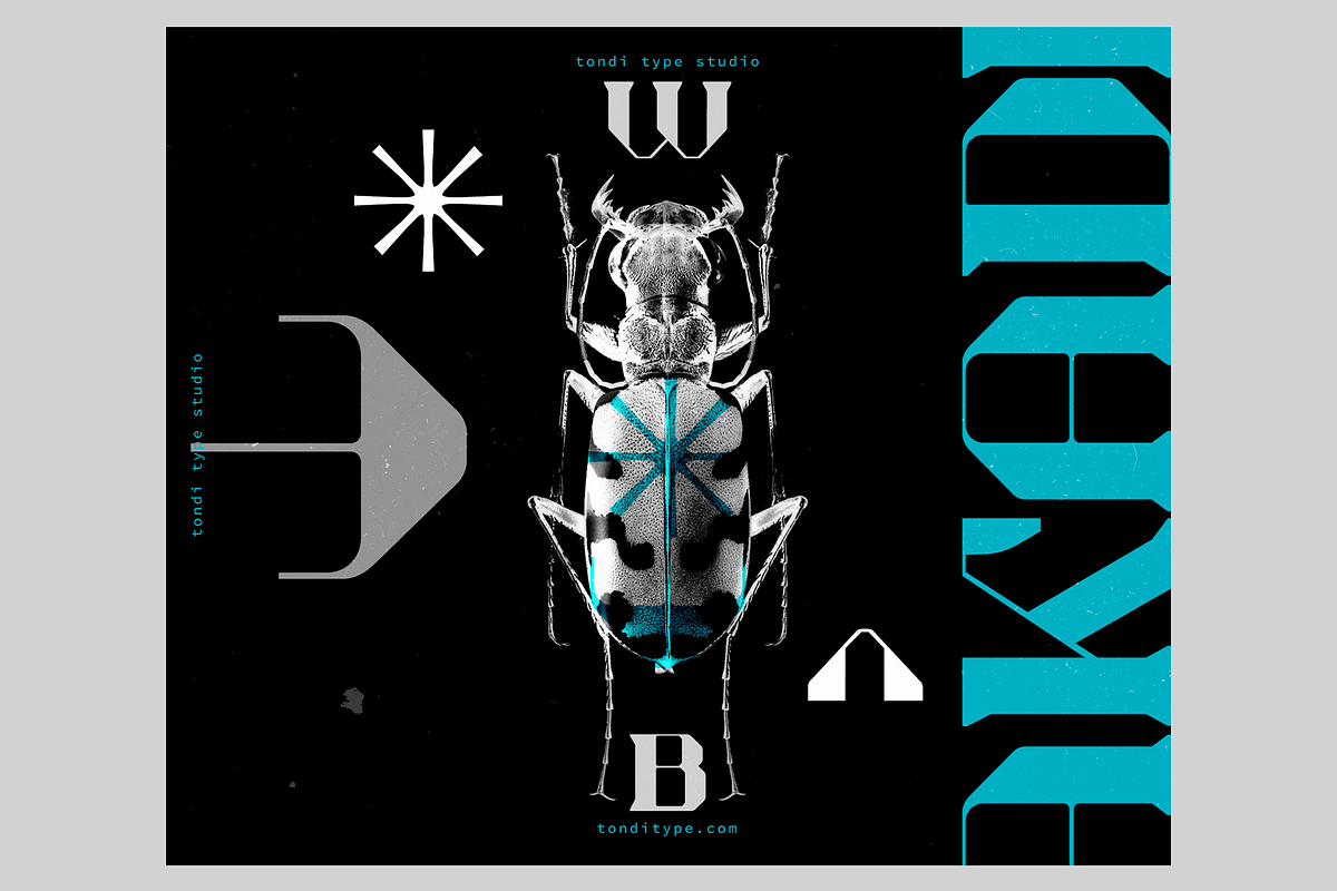 Akadis Display Font, a Serif Font by Tondi Type Studio (Photo 13 of 18)