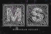 Monogram · 5 fonts · 20 frames, a Font by Red Ink (Thumbnail 6 of 14)