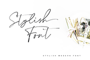 Collection - NEW STYLE, a Script Font by alphArtype (Thumbnail 4 of 16)