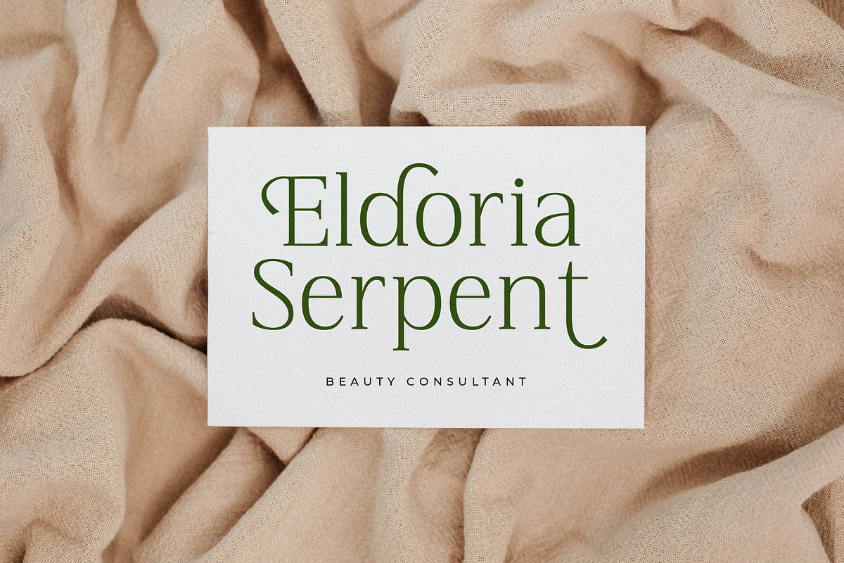 Blacindy Modern Serif Font, a Serif Font by Letterena Studios (Photo 8 of 15)