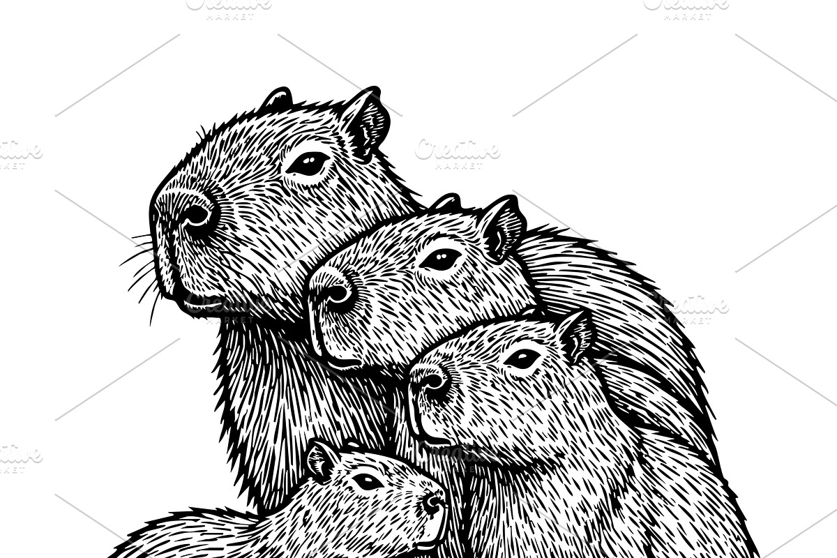 Capybara family sitting together., an Animal Illustration by yod67