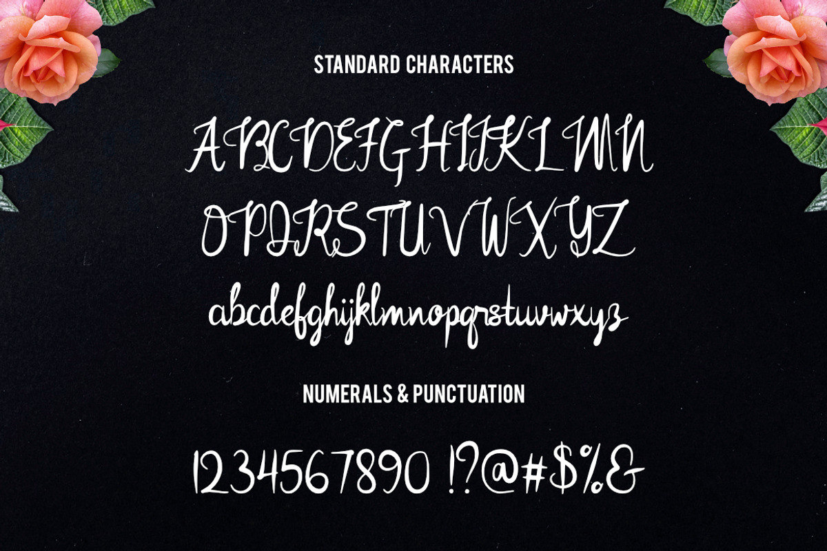 Rose Mellow Font preview 2
