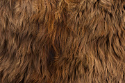 Fur pillows set 1, an Object 3D Model by 3dmitruk (Thumbnail 7 of 22)