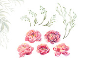 PEONY watercolor clip art & patterns, an Object Graphic by Jeanna Draw (Thumbnail 7 of 15)