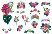 Birds of Paradise graphics/patterns, a Pattern Graphic by Salted Galaxy (Thumbnail 10 of 14)