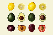 Vintage Fruit Illustrations, a Food Illustration by Catty Studio (Thumbnail 4 of 10)