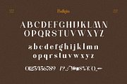 Ballgin Elegant Ligature Serif Font, a Serif Font by Perfectype (Thumbnail 6 of 6)