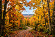Peaceful Autumn Nature Wallpaper, a Wallpaper Photo by nandinigraphics (Thumbnail 2 of 3)