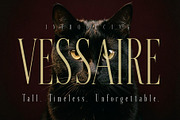 VESSAIRE - Elegant Tall Serif, a Serif Font by HypeWorksCo (Thumbnail 1 of 18)