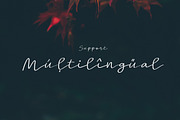 New! Pamela | Script Font, a Script Font by Artstudio (Thumbnail 7 of 7)
