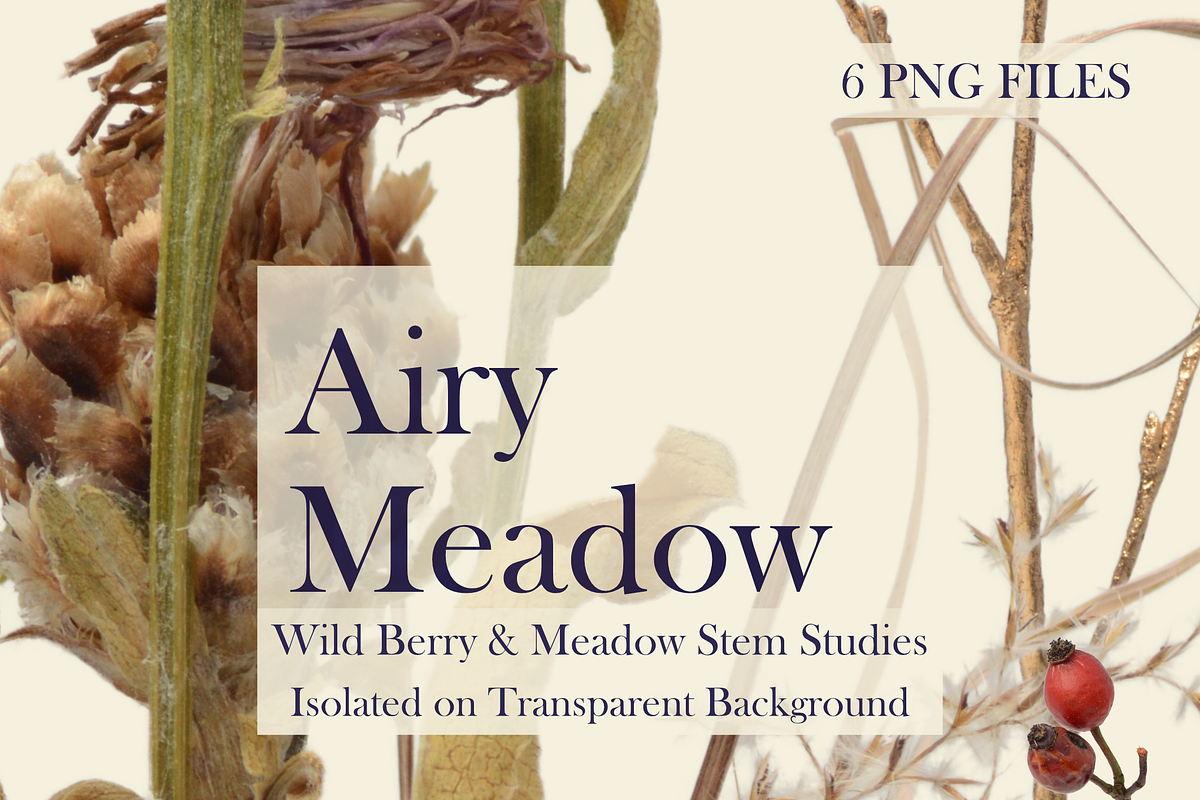 Airy Meadow Cleanly Cut Flower Photo, an Object Graphic by Aga Silva (Photo 4 of 7)