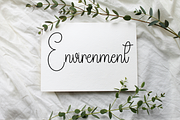 Stylish, a Serif Font by FreshTypeINK (Thumbnail 4 of 8)