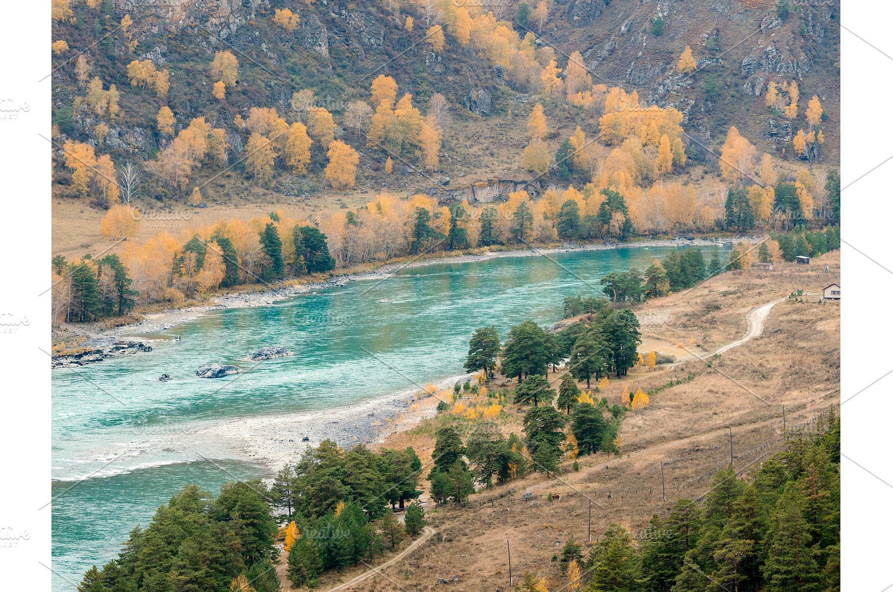 Azure water of Autumn Katun River, an Animal Photo by Fascinadora