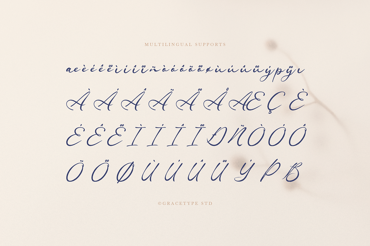 Ranuficah Elegant Calligraphy Script, a Script Font by gracetype_studio (Photo 12 of 12)