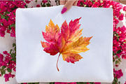 Watercolor Autumn Fall Leaves, a Seasonal Illustration by SVGArt (Thumbnail 9 of 10)
