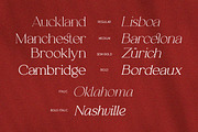Analogi serif, a Serif Font by Soft Creative (Thumbnail 10 of 13)