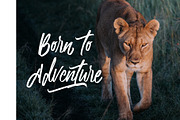 Callendom Casul Font, a Script Font by FahmiType (Thumbnail 5 of 13)