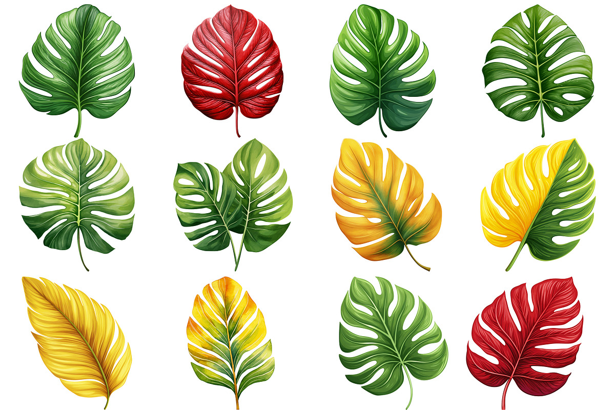 Leaves Clipart Png, an Illustration by Forhadx5 (Photo 4 of 9)