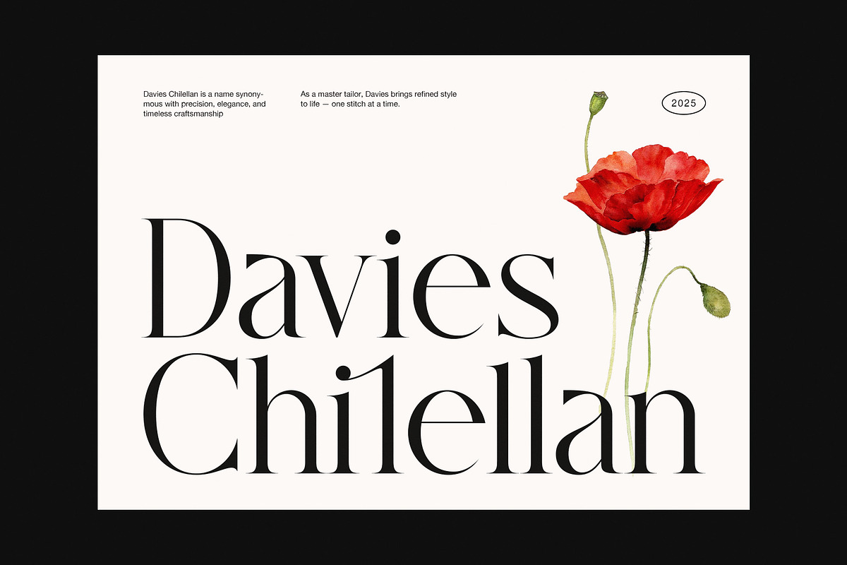 Galista Elegant Serif Font, a Serif Font by Graphicxell (Photo 2 of 8)
