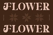 Merifto Modern Serif Font, a Serif Font by Storytype Studio (Thumbnail 10 of 15)