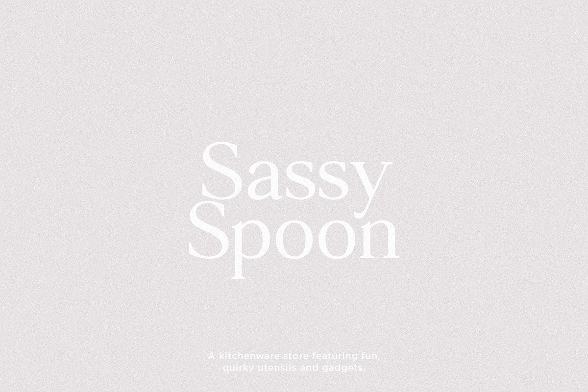 Vision - Modern Serif, a Serif Font by Schrifted Type (Photo 6 of 8)