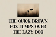 Mahersy - Classic Display Serif, a Serif Font by TypeLogue (Thumbnail 2 of 5)