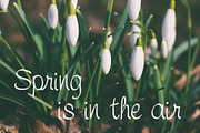 Symca Font, a Handwritten Font by Digital Typeface Studio (Thumbnail 8 of 8)