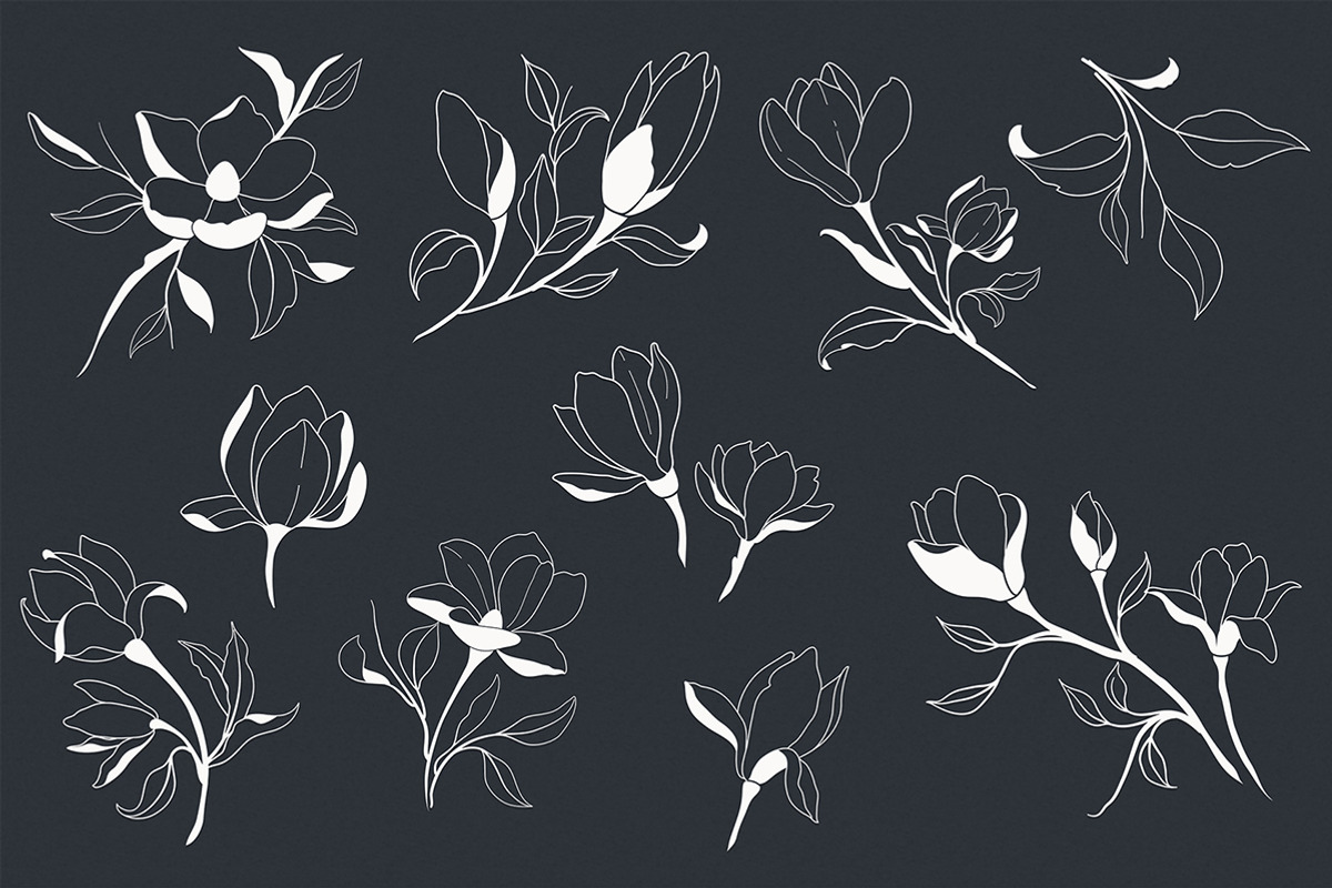 Hand Sketched Magnolia, a Decorative Illustration by Solana (Photo 6 of 10)
