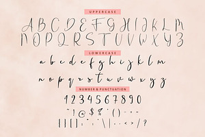 Fanish Elegant Signature Font