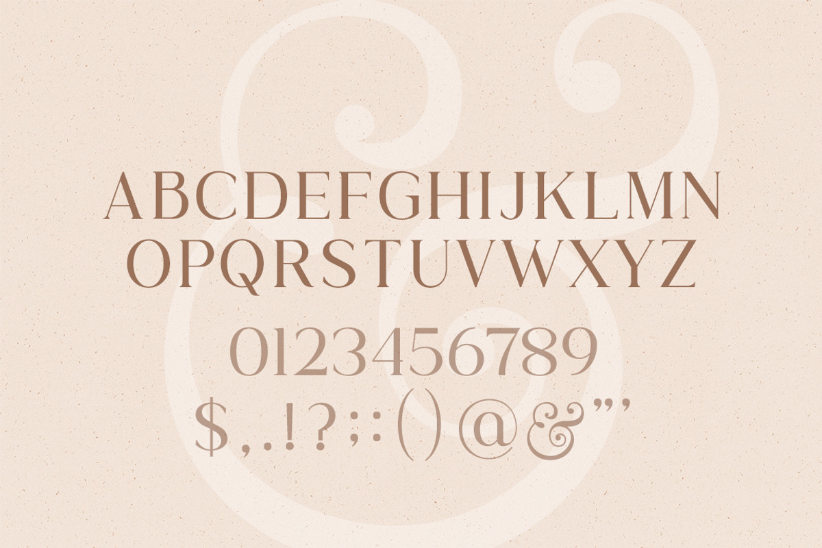 Wild & Folk Serif Font preview 7
