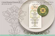 Art Nouveau Botanical Ornaments III, a Pattern Graphic by Collection by VY (Thumbnail 2 of 8)