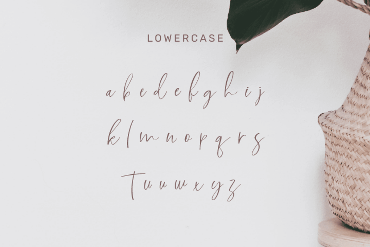 Cinthia Bloom: Elegant Font, a Handwritten Font by Jogiia Digital (Photo 4 of 5)
