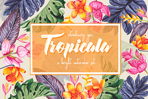 Tropicala