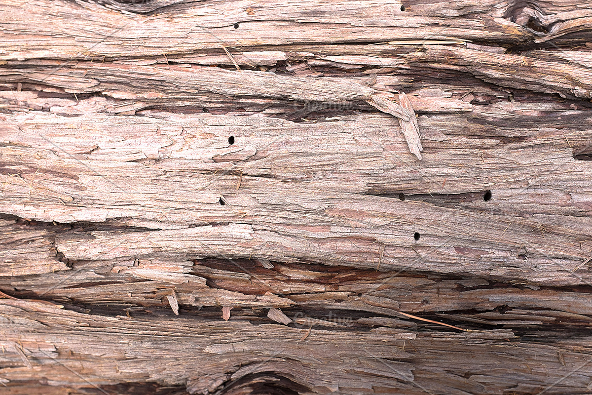 12 Wood Textures preview 2