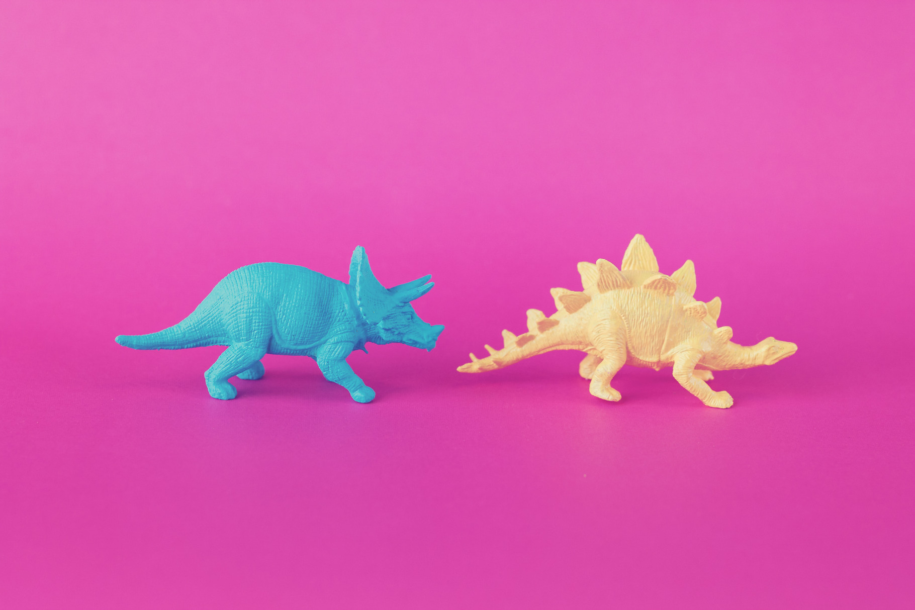 Dinosaur Toys on Pink, an Animal Photo by Jessica Torres