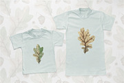 Oak leaves illustrations, a Texture Illustration by Anna Kopylova (Thumbnail 3 of 5)