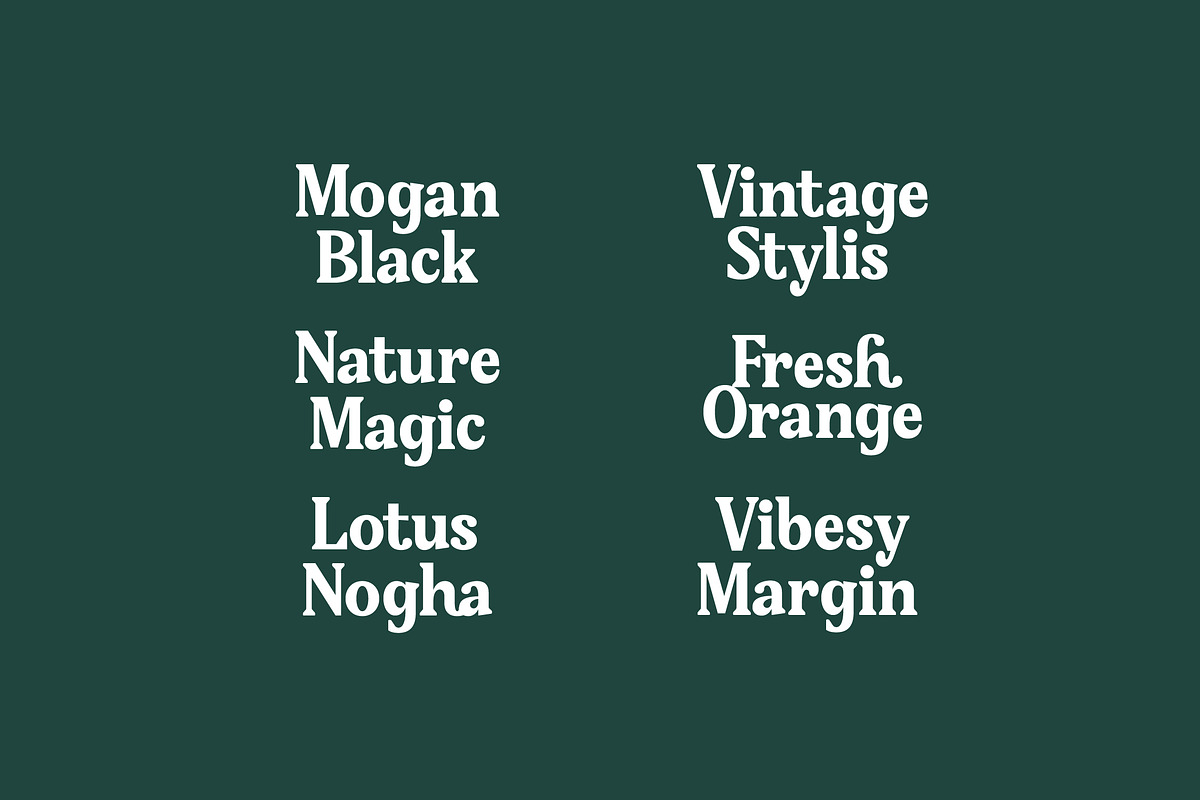 Gafjust Minfine Modern Serif, a Serif Font by timelesstype.co (Photo 9 of 20)