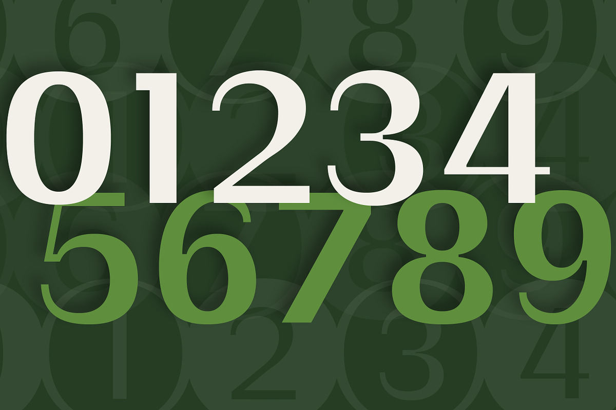 Swaraga - Modern Corporate Display, a Sans Serif Font by Lettertype Studio (Photo 10 of 13)