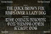 TAN - MONDAY MADNESS, a Blackletter Font by TanType (Thumbnail 11 of 13)