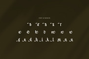 Hibrida Bold Serif Font, a Serif Font by Perfectype (Thumbnail 8 of 8)